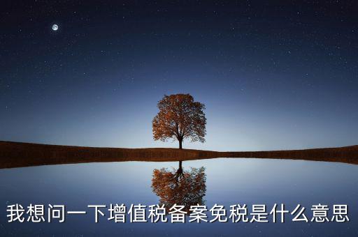 增值稅網(wǎng)上備案是什么意思，公司剛成立請問到稅務(wù)局備案是什么意思