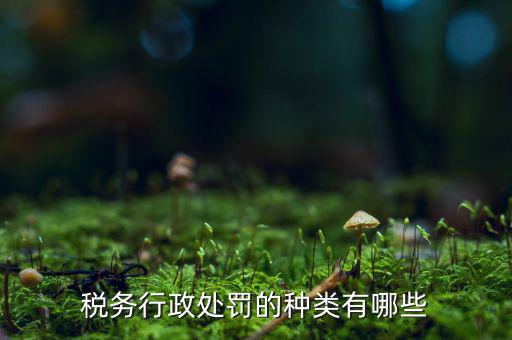 涉稅行政處罰包括什么，什么叫稅務(wù)行政處罰當(dāng)事人