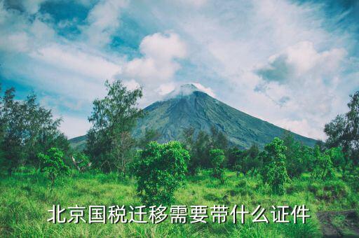 北京同一個區(qū)內(nèi)國稅遷所需要什么手續(xù)，北京國稅遷移需要帶什么證件