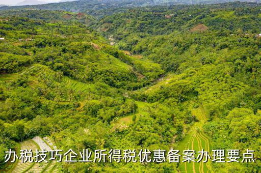 稅收優(yōu)惠事項備案項目是什么，企業(yè)所得稅需備案的事項包括哪些