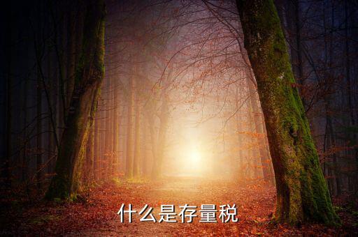 稅務存量戶指什么，稅務登記證轉非是什么意思