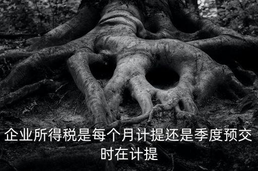 企業(yè)所得稅什么時候計提，企業(yè)所得稅在什么時候開始預(yù)提