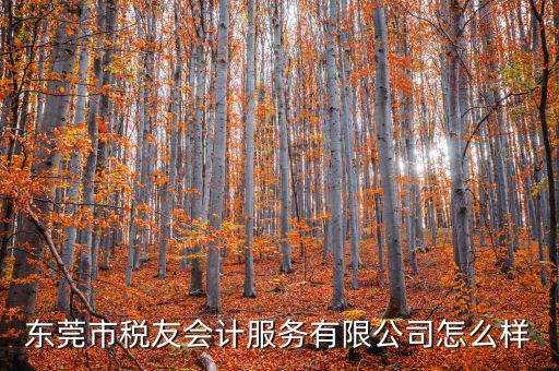 東莞稅友是做什么的，稅友集團(tuán)是做什么的