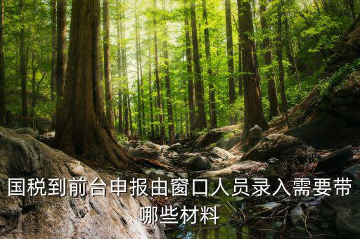 安徽去窗口申報(bào)稅需要帶什么材料，申報(bào)增值稅要拿什么材料去