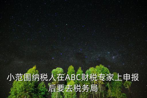 財(cái)稅專家是報(bào)什么稅，小范圍納稅人在ABC財(cái)稅專家上申報(bào)后要去稅務(wù)局