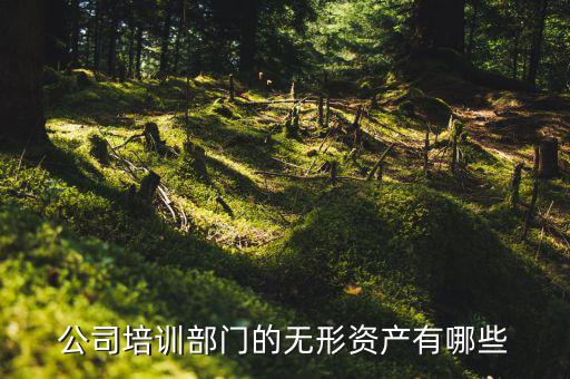 其他權(quán)益性無形資產(chǎn)是什么，無形資產(chǎn)屬于什么科目