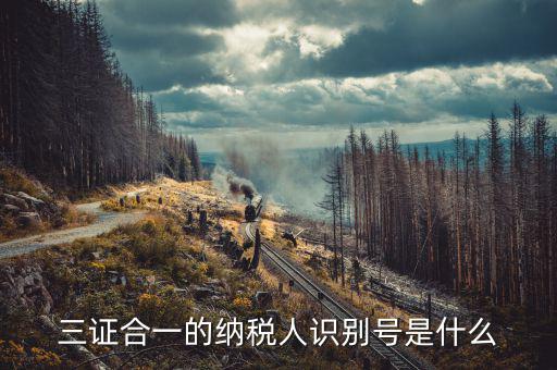 三證合一的稅號是什么，三證合一的納稅人識別號是什么