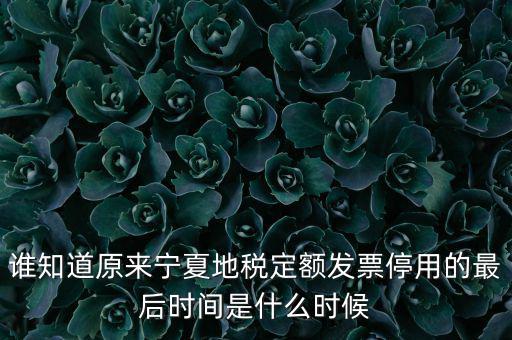地稅的發(fā)票什么時(shí)候不能用，誰知道原來寧夏地稅定額發(fā)票停用的最后時(shí)間是什么時(shí)候