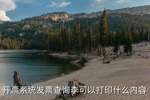 發(fā)票查詢什么內(nèi)容，通過(guò)發(fā)票可以查到買(mǎi)了什么東西嗎