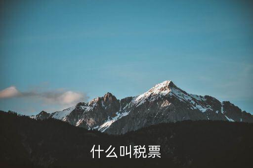 納稅稅票是什么，什么叫稅票