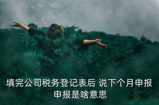 納稅登記表是什么意思，填完公司稅務(wù)登記表后 說(shuō)下個(gè)月申報(bào) 申報(bào)是啥意思