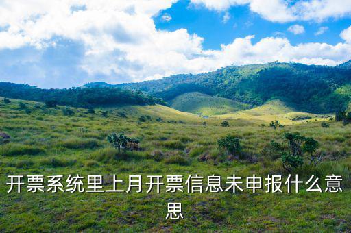 稅務(wù)未申報什么意思，開票系統(tǒng)里上月開票信息未申報什么意思