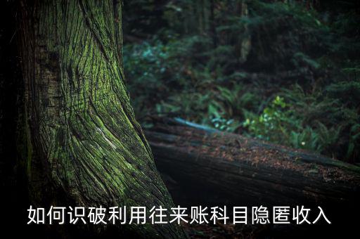 如何識(shí)破利用往來賬科目隱匿收入