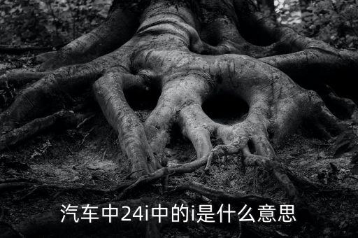 小車船i代表什么意思，汽車中24i中的i是什么意思