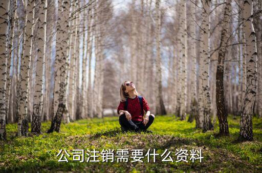 企業(yè)注銷需提供什么資料，公司注銷需要哪些資料