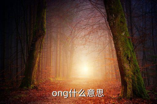 發(fā)票ong什么意思，ong什么意思