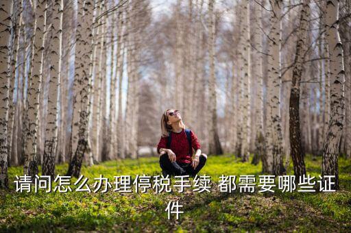 停供發(fā)票需要注意什么手續(xù)，停國稅要怎么辦理 要什么手續(xù)