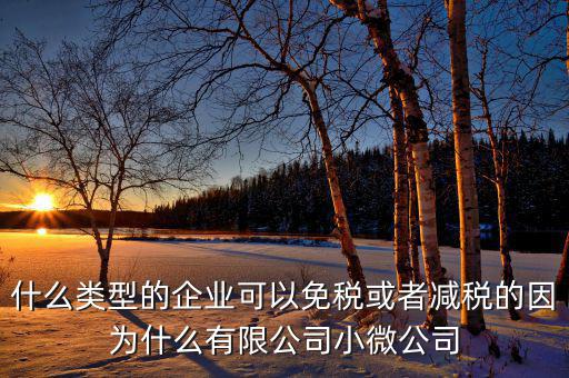 什么樣的企業(yè)可免稅，請問什么樣的公司可以得到免稅
