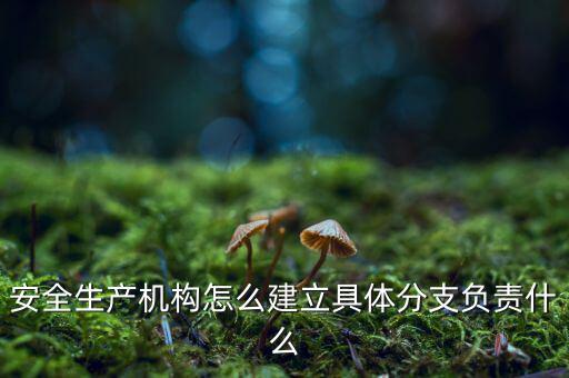 什么是三級(jí)分支機(jī)構(gòu)，英語三級(jí)發(fā)證機(jī)構(gòu)是什么