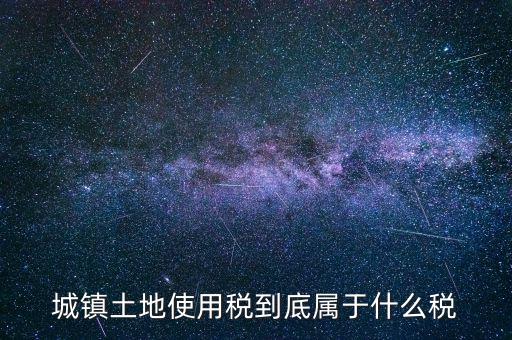 城鎮(zhèn)土地使用稅屬于什么稅種，城鎮(zhèn)土地使用稅到底屬于什么稅
