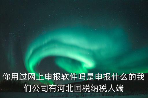 企業(yè)申報客戶端是什么，你用過網(wǎng)上申報軟件嗎是申報什么的我們公司有河北國稅納稅人端