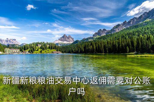 新疆地稅用戶名是什么，全國會計繼續(xù)教育網(wǎng)注冊用戶名怎樣填