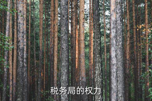 稅務局的權力