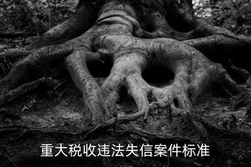 重大稅收違法是什么意思，實(shí)名辦稅黑名單納稅人是什么意思