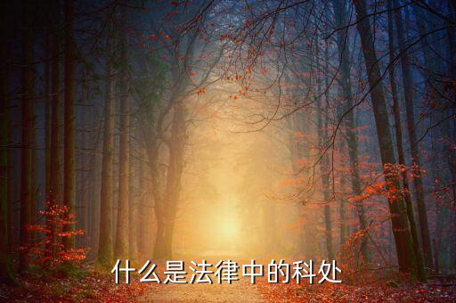 征科處  是做什么的，征寶寶幻化有什么用