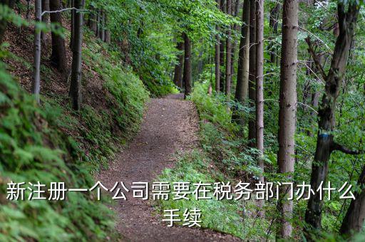 新辦企業(yè)需要到地稅辦理什么手續(xù)費，新注冊一個公司需要在稅務部門辦什么手續(xù)