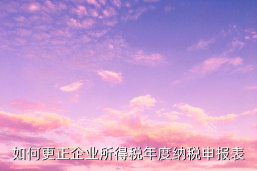 辦稅大廳改報表需要什么，去稅務(wù)局營業(yè)大廳申報納稅需要帶哪些材料