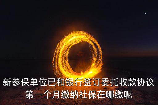什么時候辦理授權(quán)劃繳協(xié)議，如何取得委托銀行劃轉(zhuǎn)地方稅費授權(quán)書協(xié)議書去銀行還是去地稅