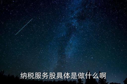 納稅服務(wù)股是什么意思，納稅服務(wù)股具體是做什么啊