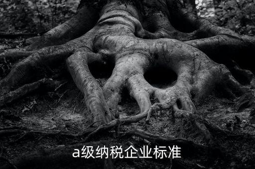 什么是企業(yè)納稅信用a級(jí)，納稅信用A級(jí)就一定能評(píng)上一類出口企業(yè)嗎