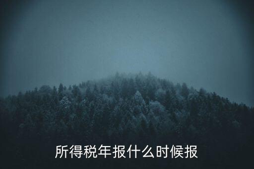 所得稅年報(bào)什么時候報(bào)