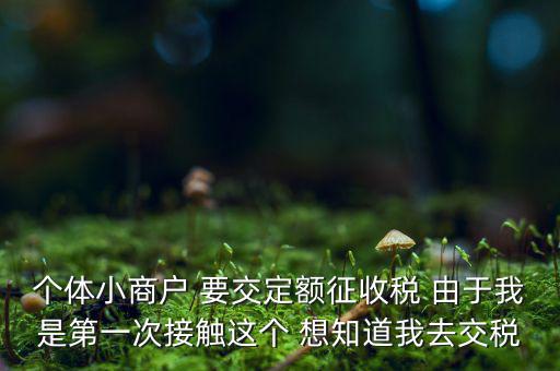 定額納稅到什么地方繳，定額征收的個(gè)體需繳納什么地稅