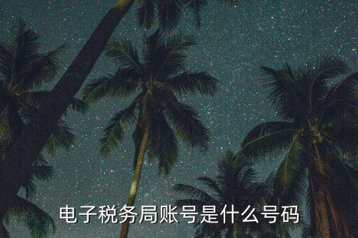 電子稅務登錄賬號是什么，電子稅務局賬號是什么號碼