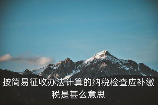 簡易征收什么意思，按簡易征收辦法計算的納稅檢查應(yīng)補繳稅是甚么意思