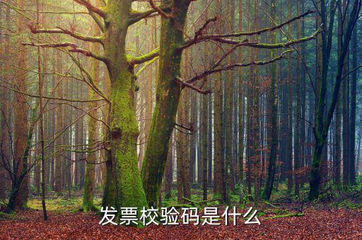 電子發(fā)票 查詢的驗證碼是什么，發(fā)票校驗碼是什么