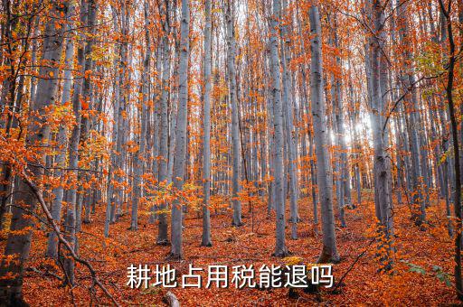耕地占用稅什么情況可以退，占用耕地罰款后拆遷還能退嗎