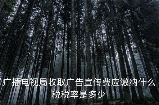 宣傳費屬于什么稅，廣播電視局收取廣告宣傳費應(yīng)繳納什么稅稅率是多少