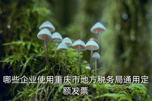 定額發(fā)票什么行業(yè)，哪些企業(yè)能買手撕定額發(fā)票小規(guī)模生產(chǎn)企業(yè)已經(jīng)開了普通發(fā)票能買
