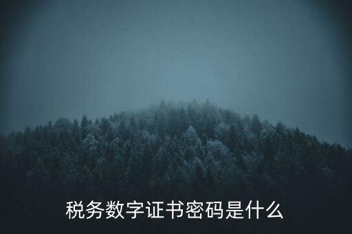輸入稅務數(shù)字證書密碼是什么，稅務數(shù)字證書密碼是什么