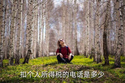 成都查個(gè)稅打什么電話，如何查詢個(gè)人所得稅明細(xì)