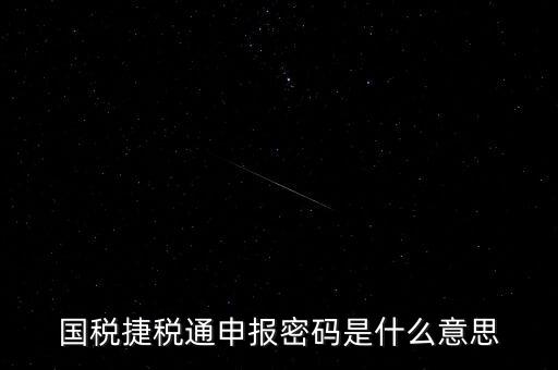稅務軟件申報密碼是什么意思，納稅申報密碼是什么