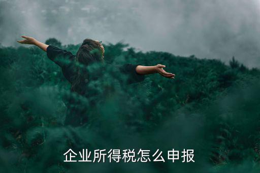 扣繳企業(yè)所得稅申報(bào)是什么，企業(yè)所得稅申報(bào)是怎樣的