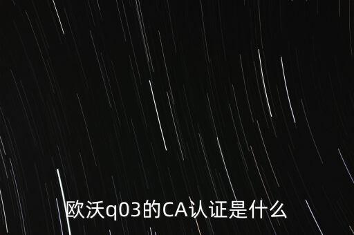 ca認證密碼是什么意思，歐沃q03的CA認證是什么