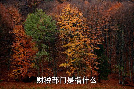 財(cái)稅征收保障網(wǎng)是什么，財(cái)稅部門是指什么