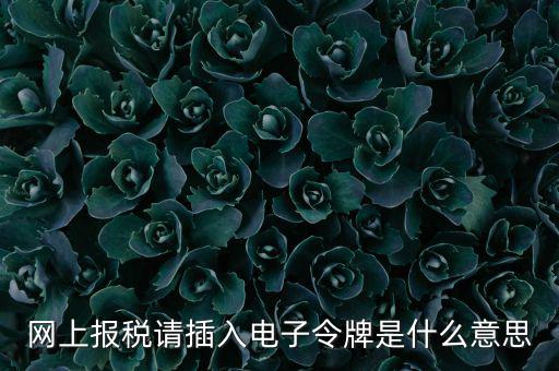 網上報稅請插入電子令牌是什么意思