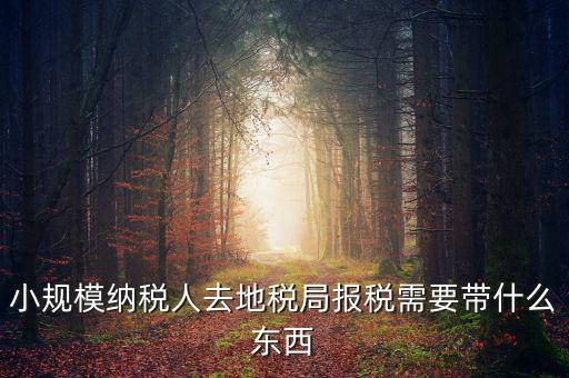 上門申報附加稅要帶什么資料，去地稅局繳納營業(yè)稅金及附加需要帶什么資料